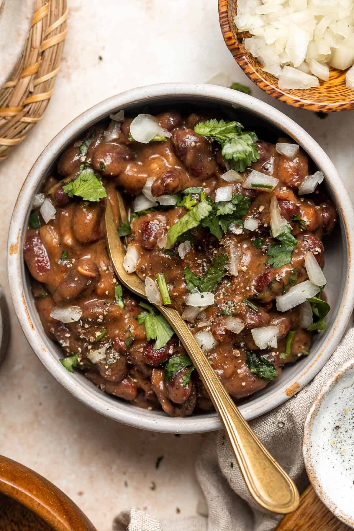 Red Kidney Beans from Bava Industries