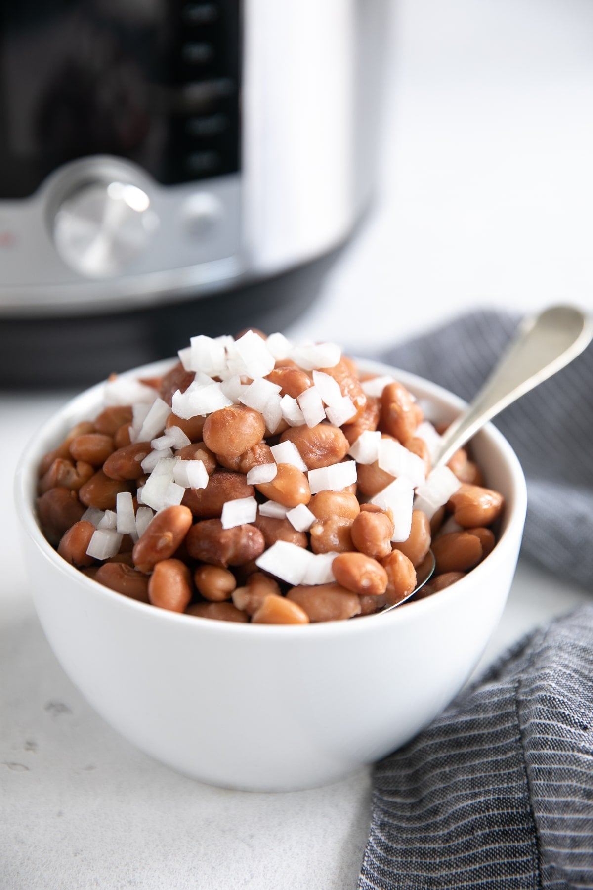 Sugar Beans from Bava Industries